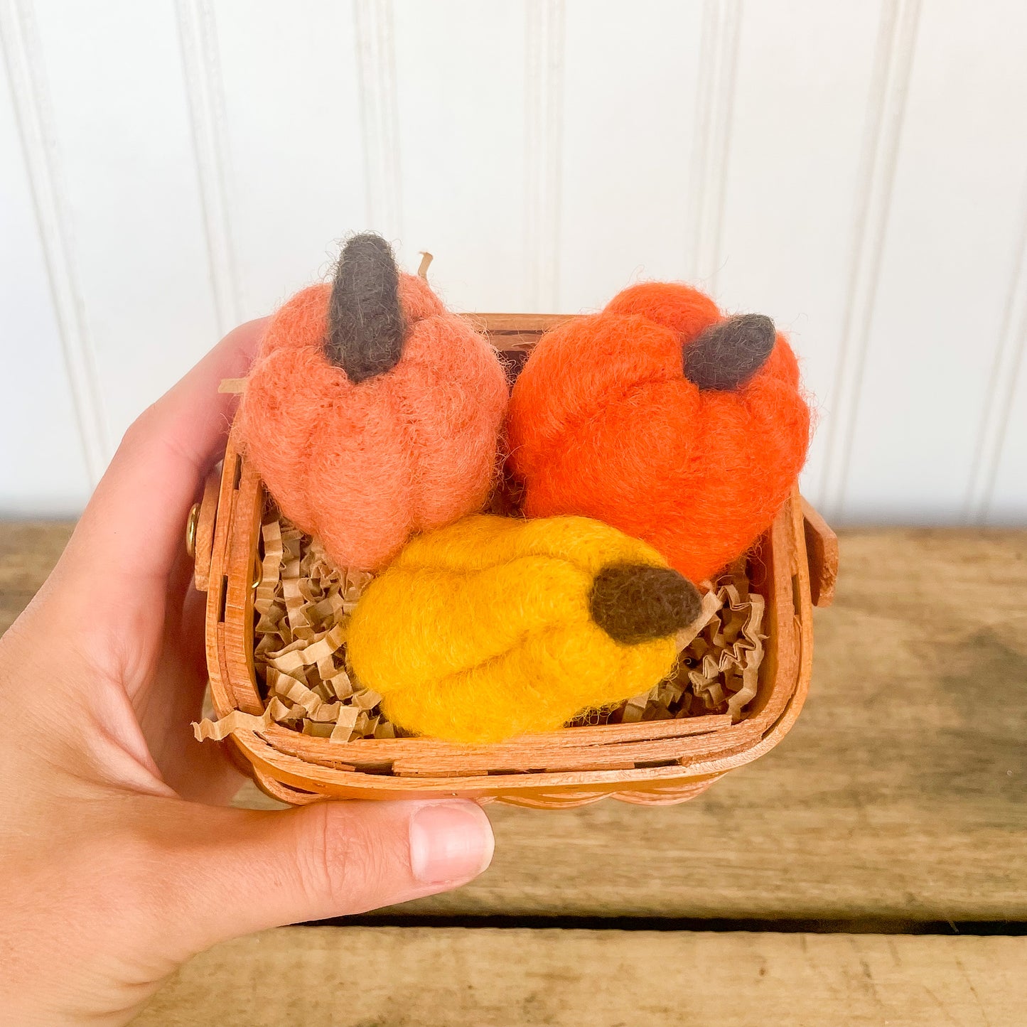 Felted Pumpkin + Gourd Set