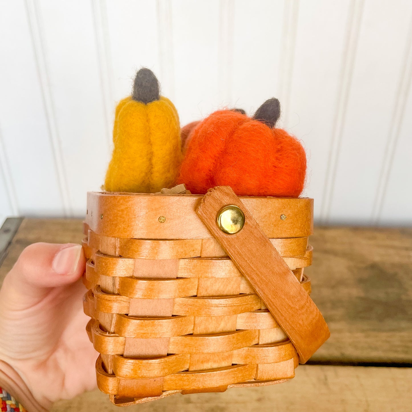 Felted Pumpkin + Gourd Set