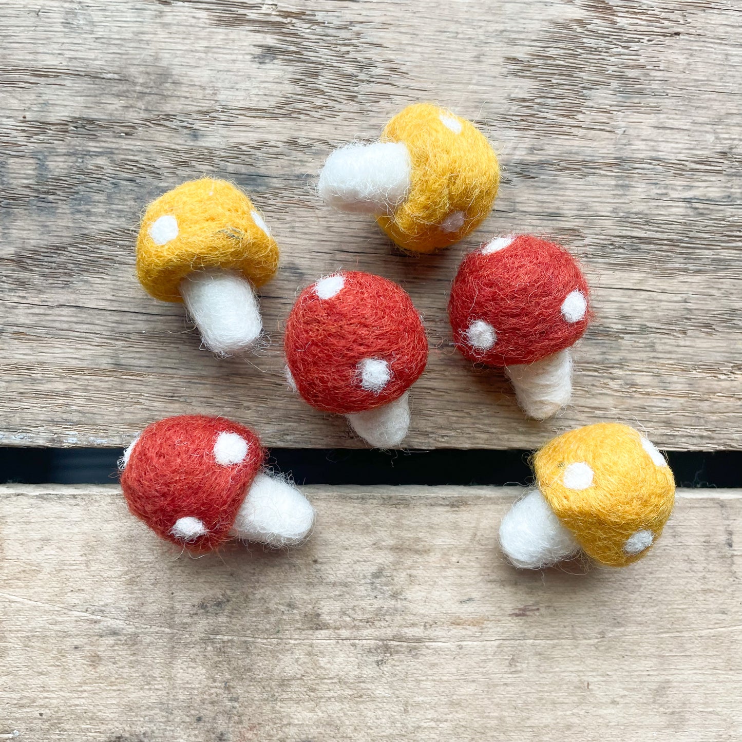 Felted Mushrooms