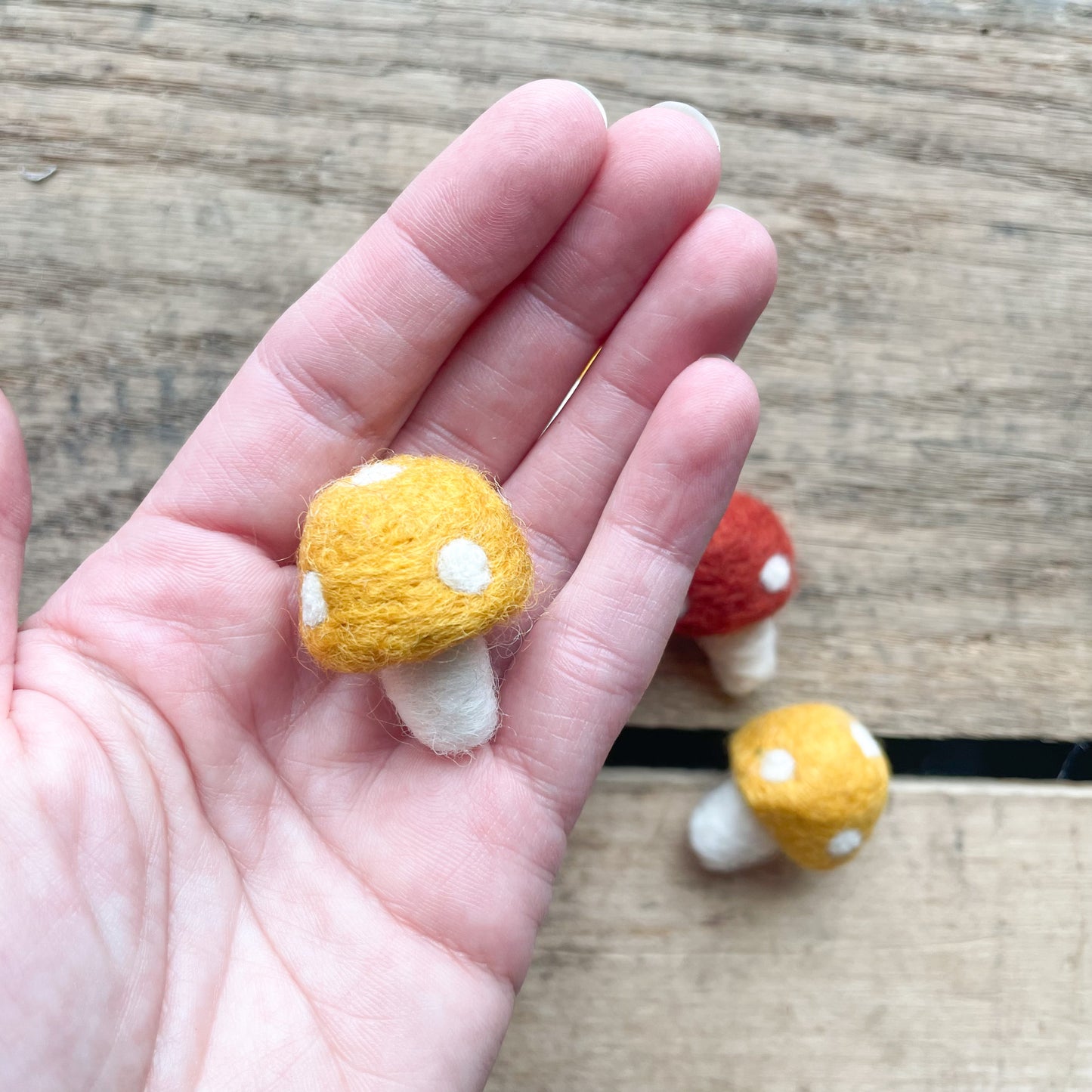 Felted Mushrooms