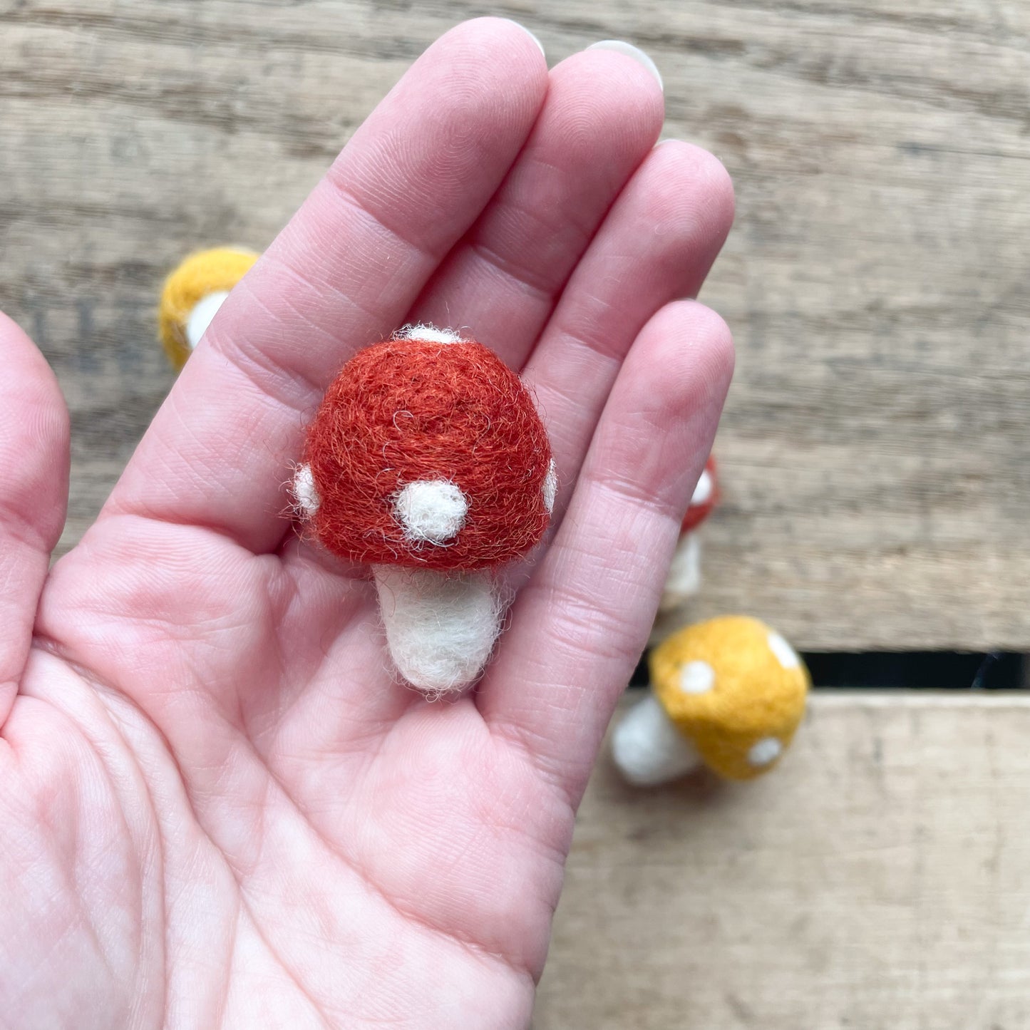 Felted Mushrooms
