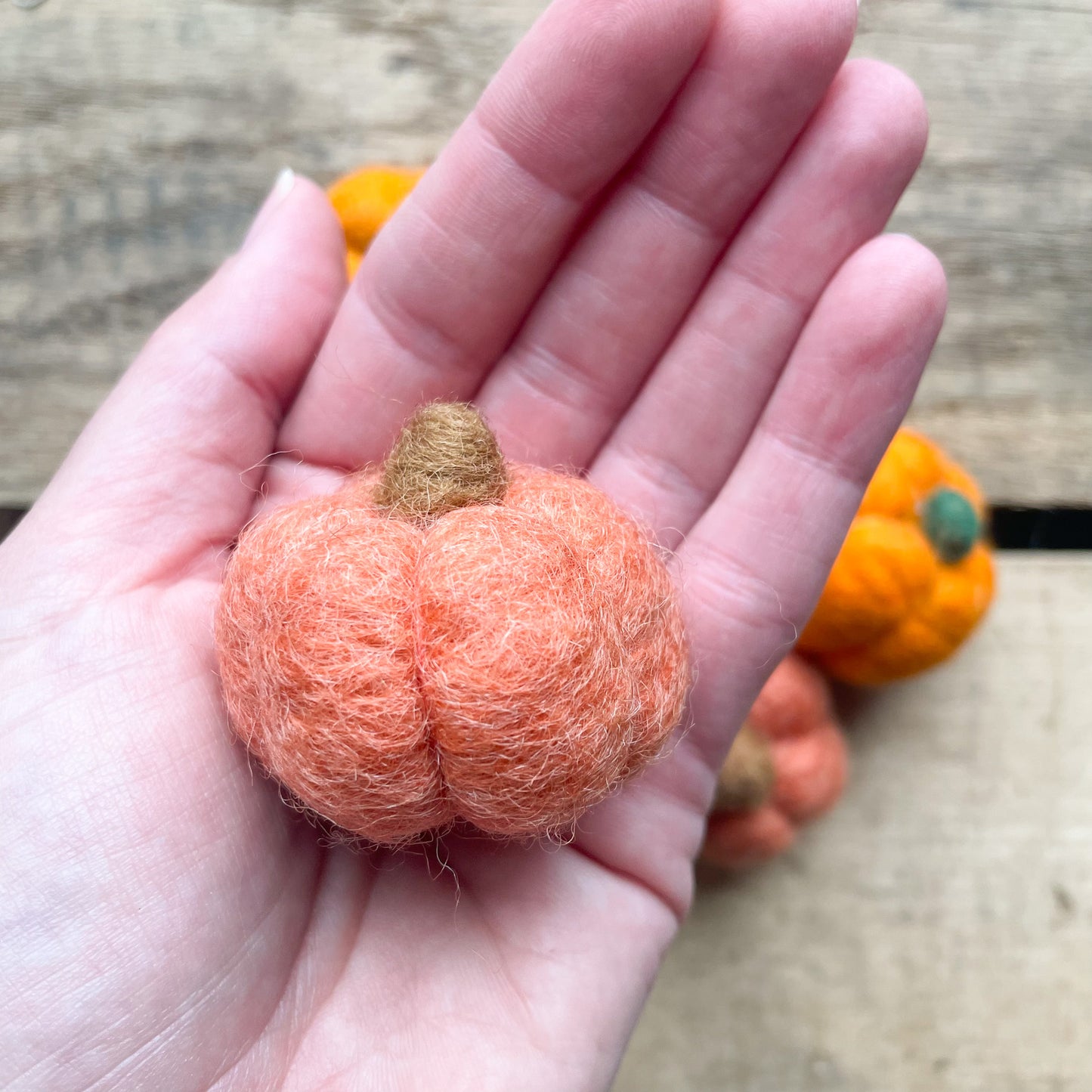 Felted Fall Pumpkin