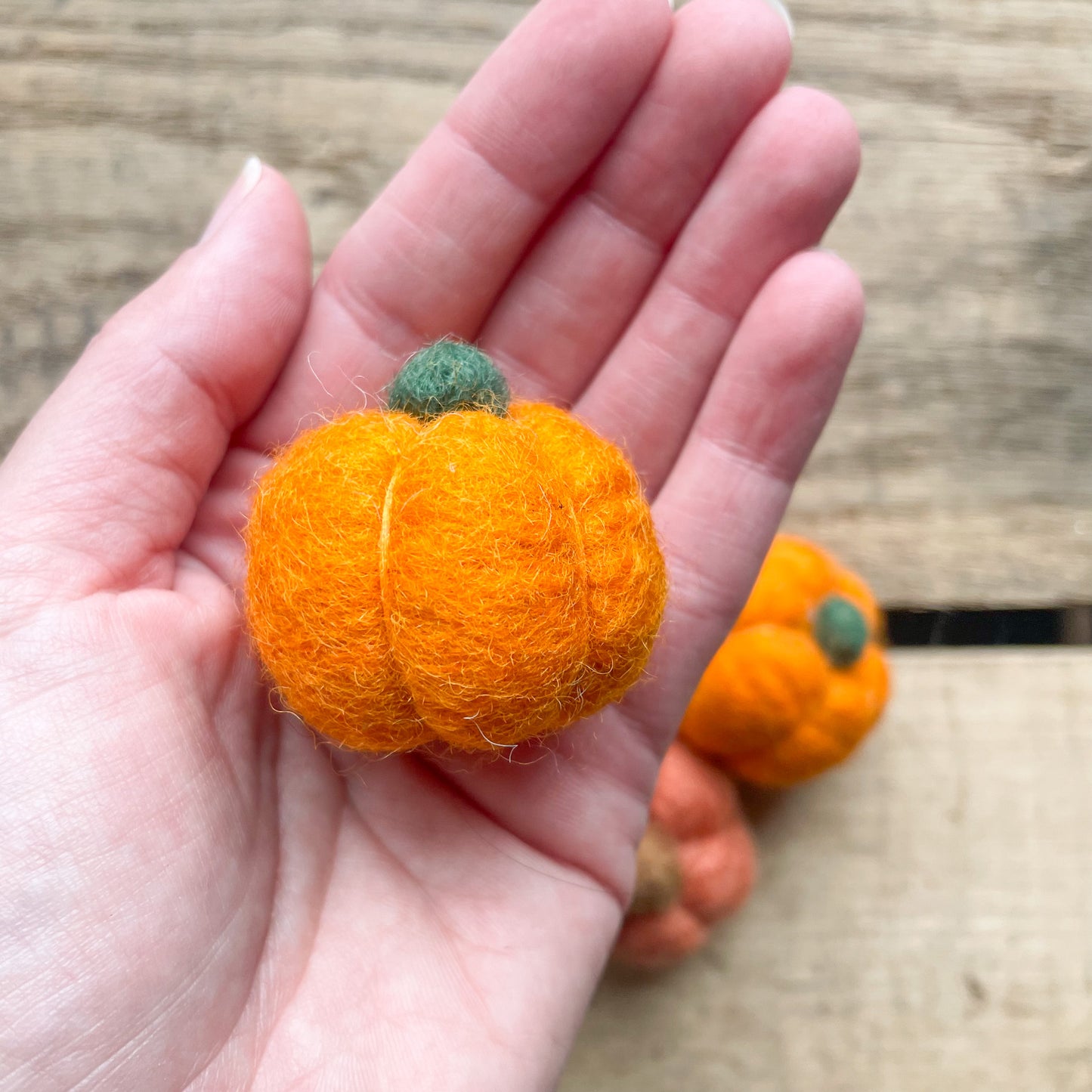 Felted Fall Pumpkin