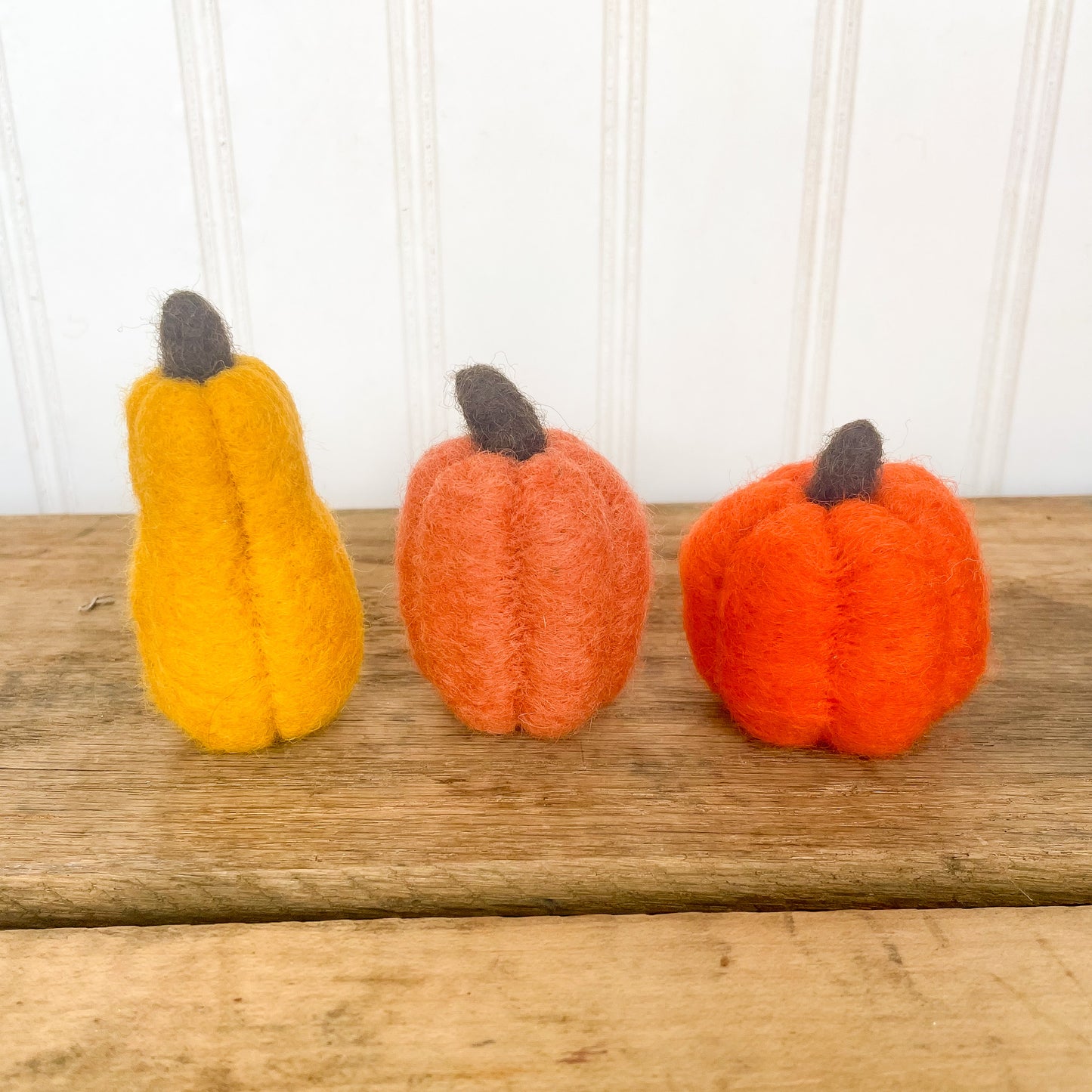 Felted Pumpkin + Gourd Set