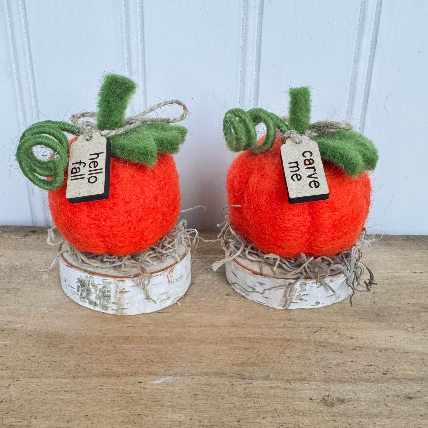 Pumpkin Patch Pumpkins