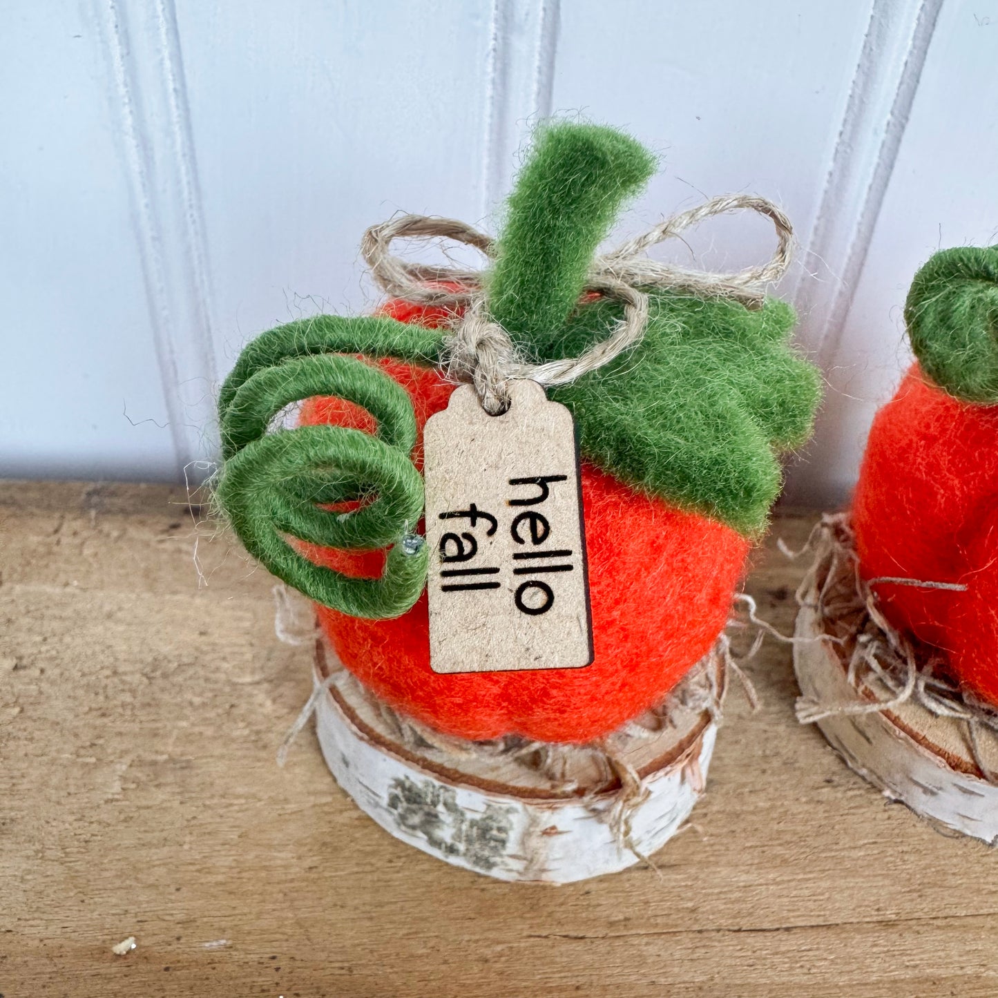 Pumpkin Patch Pumpkins