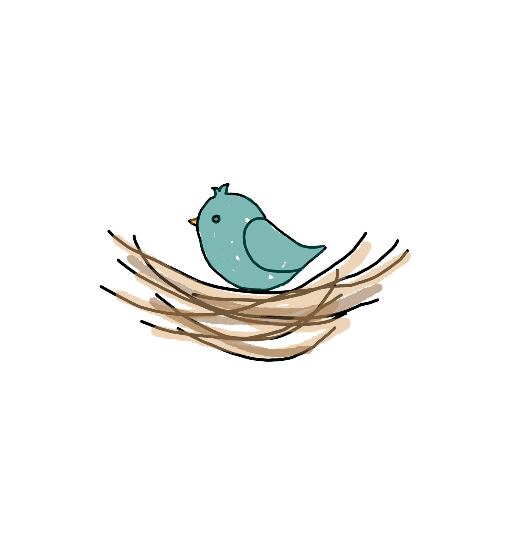 Bird's Nest Boards